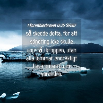 Picture 04 - 1 Korinthierbrevet 12:25 SV1917 - så skedde detta, för att söndring icke skulle - Bible Verse Picture