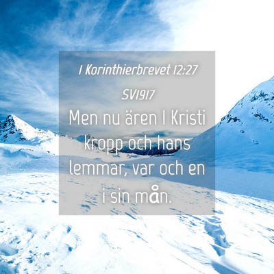 Picture 04 - 1 Korinthierbrevet 12:27 SV1917 - Men nu ären I Kristi kropp och hans lemmar, var - Bible Verse Picture