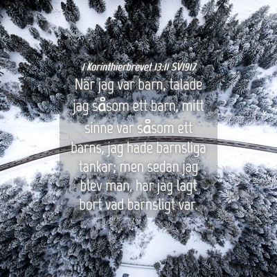 Picture 04 - 1 Korinthierbrevet 13:11 SV1917 - När jag var barn, talade jag såsom ett barn, - Bible Verse Picture