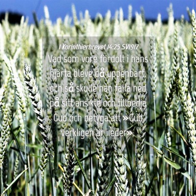 Picture 04 - 1 Korinthierbrevet 14:25 SV1917 - Vad som vore fördolt i hans hjärta bleve då - Bible Verse Picture