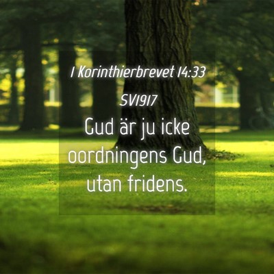 Picture 04 - 1 Korinthierbrevet 14:33 SV1917 - Gud är ju icke oordningens Gud, utan - Bible Verse Picture