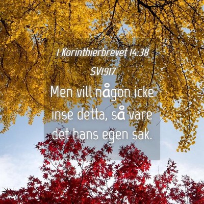 Picture 04 - 1 Korinthierbrevet 14:38 SV1917 - Men vill någon icke inse detta, så vare det - Bible Verse Picture