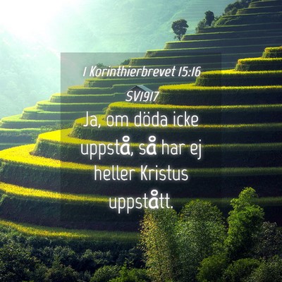 Picture 04 - 1 Korinthierbrevet 15:16 SV1917 - Ja, om döda icke uppstå, så har ej heller - Bible Verse Picture
