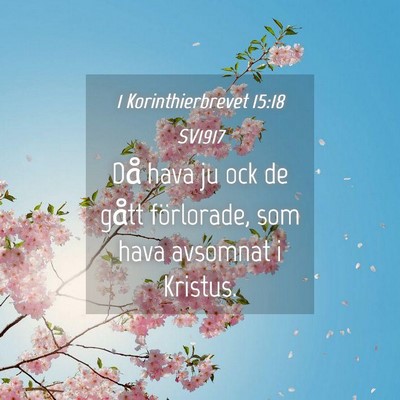 Picture 04 - 1 Korinthierbrevet 15:18 SV1917 - Då hava ju ock de gått förlorade, som hava - Bible Verse Picture