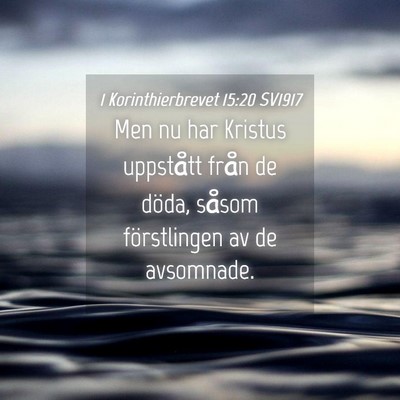 Picture 04 - 1 Korinthierbrevet 15:20 SV1917 - Men nu har Kristus uppstått från de döda, - Bible Verse Picture