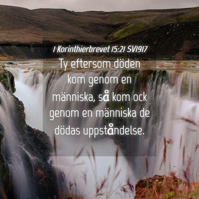 Picture 04 - 1 Korinthierbrevet 15:21 SV1917 - Ty eftersom döden kom genom en människa, så - Bible Verse Picture