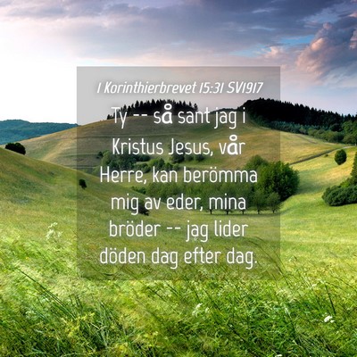 Picture 04 - 1 Korinthierbrevet 15:31 SV1917 - Ty -- så sant jag i Kristus Jesus, vår Herre, - Bible Verse Picture