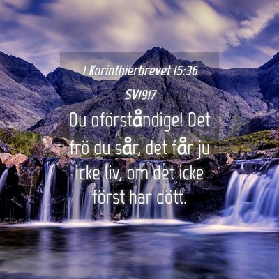 Picture 04 - 1 Korinthierbrevet 15:36 SV1917 - Du oförståndige! Det frö du sår, det får ju - Bible Verse Picture