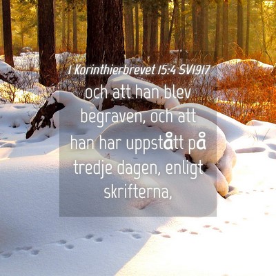 Picture 04 - 1 Korinthierbrevet 15:4 SV1917 - och att han blev begraven, och att han har - Bible Verse Picture