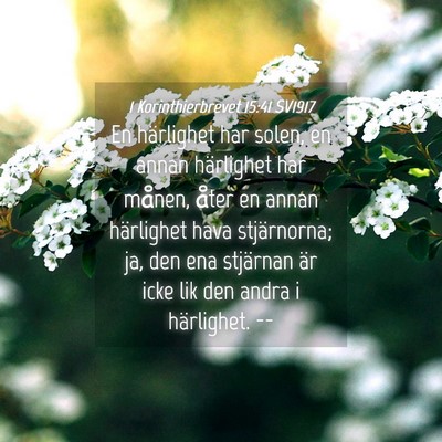 Picture 04 - 1 Korinthierbrevet 15:41 SV1917 - En härlighet har solen, en annan härlighet har - Bible Verse Picture