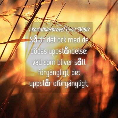Picture 04 - 1 Korinthierbrevet 15:42 SV1917 - Så är det ock med de dödas uppståndelse: vad - Bible Verse Picture