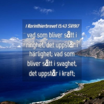 Picture 04 - 1 Korinthierbrevet 15:43 SV1917 - vad som bliver sått i ringhet, det uppstår i - Bible Verse Picture