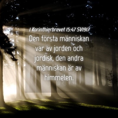 Picture 04 - 1 Korinthierbrevet 15:47 SV1917 - Den första människan var av jorden och jordisk, - Bible Verse Picture