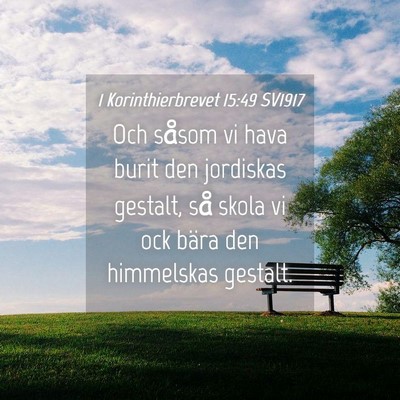 Picture 04 - 1 Korinthierbrevet 15:49 SV1917 - Och såsom vi hava burit den jordiskas gestalt, - Bible Verse Picture