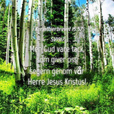 Picture 04 - 1 Korinthierbrevet 15:57 SV1917 - Men Gud vare tack, som giver oss segern genom - Bible Verse Picture