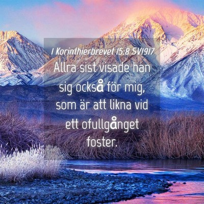 Picture 04 - 1 Korinthierbrevet 15:8 SV1917 - Allra sist visade han sig också för mig, som - Bible Verse Picture