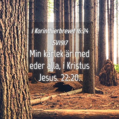 Picture 04 - 1 Korinthierbrevet 16:24 SV1917 - Min kärlek är med eder alla, i Kristus Jesus. - Bible Verse Picture