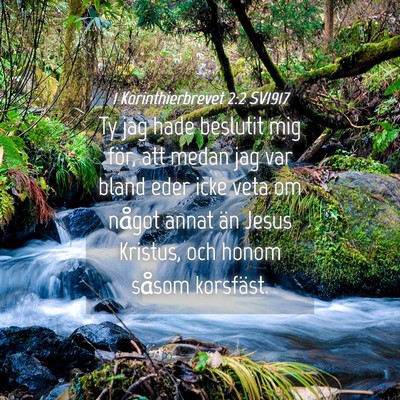 Picture 04 - 1 Korinthierbrevet 2:2 SV1917 - Ty jag hade beslutit mig för, att medan jag var - Bible Verse Picture