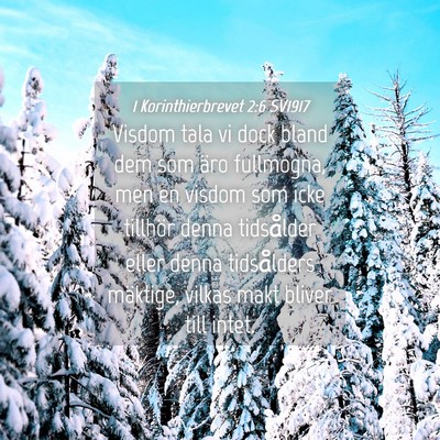 Picture 04 - 1 Korinthierbrevet 2:6 SV1917 - Visdom tala vi dock bland dem som äro fullmogna, - Bible Verse Picture