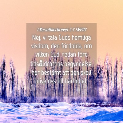 Picture 04 - 1 Korinthierbrevet 2:7 SV1917 - Nej, vi tala Guds hemliga visdom, den fördolda, - Bible Verse Picture