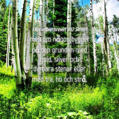 Picture 04 - 1 Korinthierbrevet 3:12 SV1917 - men om någon bygger på den grunden med guld, - Bible Verse Picture