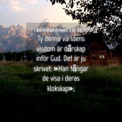 Picture 04 - 1 Korinthierbrevet 3:19 SV1917 - Ty denna världens visdom är dårskap inför - Bible Verse Picture