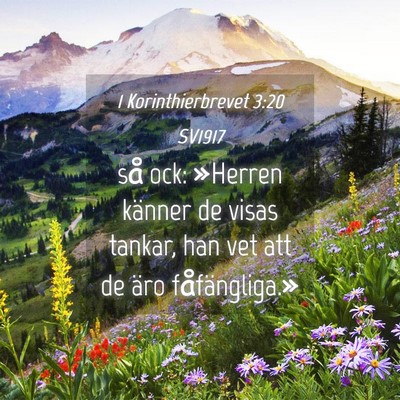 Picture 04 - 1 Korinthierbrevet 3:20 SV1917 - så ock: »Herren känner de visas tankar, han - Bible Verse Picture