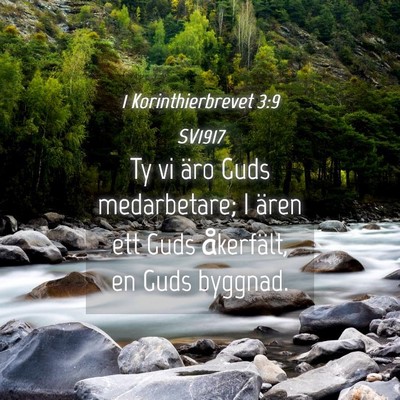 Picture 04 - 1 Korinthierbrevet 3:9 SV1917 - Ty vi äro Guds medarbetare; I ären ett Guds - Bible Verse Picture