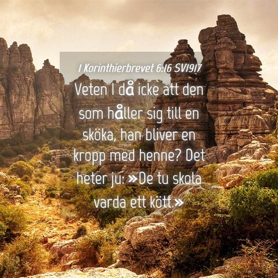Picture 04 - 1 Korinthierbrevet 6:16 SV1917 - Veten I då icke att den som håller sig till en - Bible Verse Picture