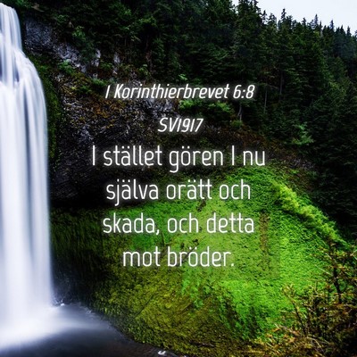 Picture 04 - 1 Korinthierbrevet 6:8 SV1917 - I stället gören I nu själva orätt och skada, - Bible Verse Picture