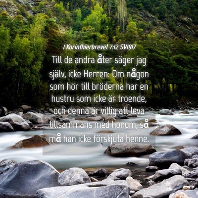 Picture 04 - 1 Korinthierbrevet 7:12 SV1917 - Till de andra åter säger jag själv, icke - Bible Verse Picture