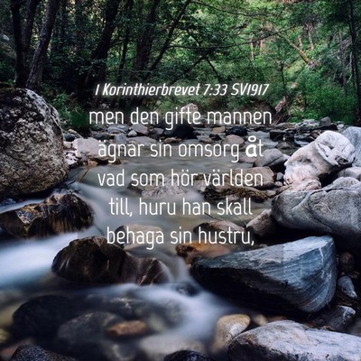 Picture 04 - 1 Korinthierbrevet 7:33 SV1917 - men den gifte mannen ägnar sin omsorg åt vad - Bible Verse Picture