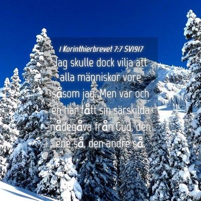 Picture 04 - 1 Korinthierbrevet 7:7 SV1917 - Jag skulle dock vilja att alla människor vore - Bible Verse Picture