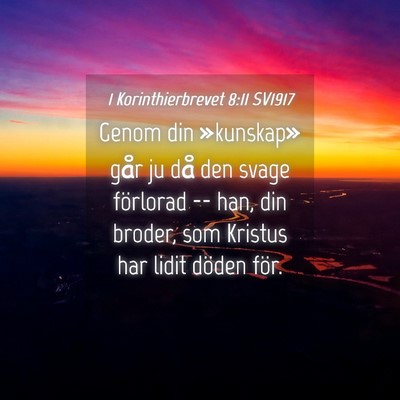 Picture 04 - 1 Korinthierbrevet 8:11 SV1917 - Genom din »kunskap» går ju då den svage - Bible Verse Picture