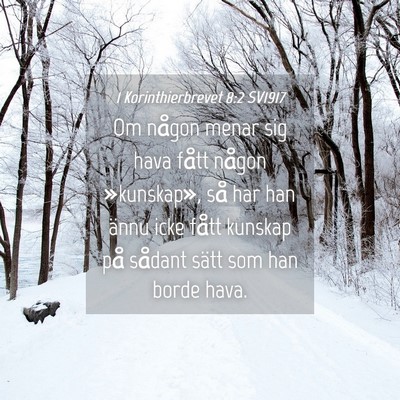 Picture 04 - 1 Korinthierbrevet 8:2 SV1917 - Om någon menar sig hava fått någon - Bible Verse Picture