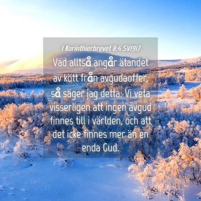 Picture 04 - 1 Korinthierbrevet 8:4 SV1917 - Vad alltså angår ätandet av kött från - Bible Verse Picture