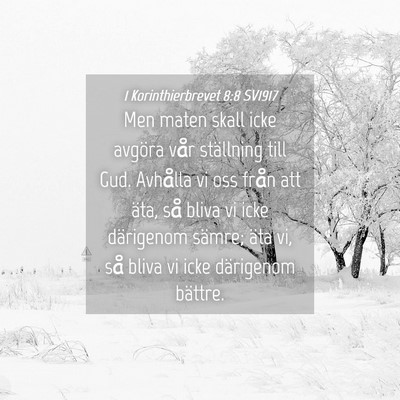 Picture 04 - 1 Korinthierbrevet 8:8 SV1917 - Men maten skall icke avgöra vår ställning till - Bible Verse Picture