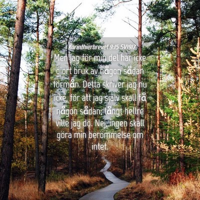 Picture 04 - 1 Korinthierbrevet 9:15 SV1917 - Men jag för min del har icke gjort bruk av - Bible Verse Picture
