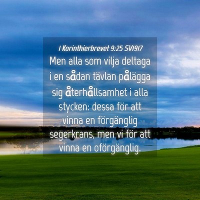 Picture 04 - 1 Korinthierbrevet 9:25 SV1917 - Men alla som vilja deltaga i en sådan tävlan - Bible Verse Picture