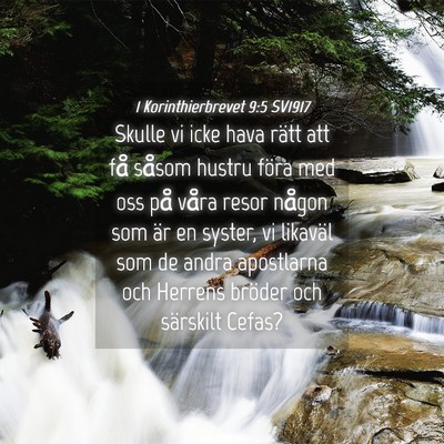 Picture 04 - 1 Korinthierbrevet 9:5 SV1917 - Skulle vi icke hava rätt att få såsom hustru - Bible Verse Picture