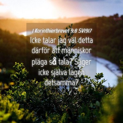 Picture 04 - 1 Korinthierbrevet 9:8 SV1917 - Icke talar jag väl detta därför att människor - Bible Verse Picture