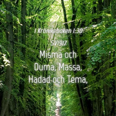 Picture 04 - 1 Krönikeboken 1:30 SV1917 - Misma och Duma, Massa, Hadad och - Bible Verse Picture