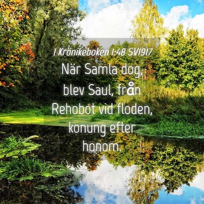 Picture 04 - 1 Krönikeboken 1:48 SV1917 - När Samla dog, blev Saul, från Rehobot vid - Bible Verse Picture