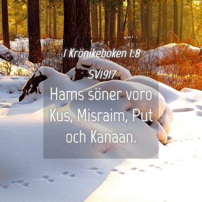 Picture 04 - 1 Krönikeboken 1:8 SV1917 - Hams söner voro Kus, Misraim, Put och - Bible Verse Picture