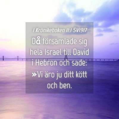 Picture 04 - 1 Krönikeboken 11:1 SV1917 - Då församlade sig hela Israel till David i - Bible Verse Picture
