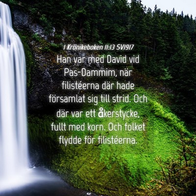 Picture 04 - 1 Krönikeboken 11:13 SV1917 - Han var med David vid Pas-Dammim, när - Bible Verse Picture