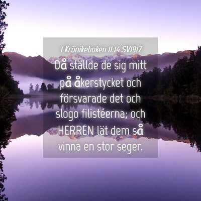 Picture 04 - 1 Krönikeboken 11:14 SV1917 - Då ställde de sig mitt på åkerstycket och - Bible Verse Picture