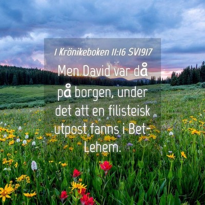 Picture 04 - 1 Krönikeboken 11:16 SV1917 - Men David var då på borgen, under det att en - Bible Verse Picture