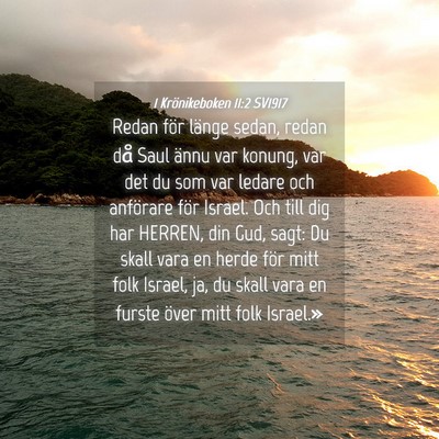 Picture 04 - 1 Krönikeboken 11:2 SV1917 - Redan för länge sedan, redan då Saul ännu var - Bible Verse Picture