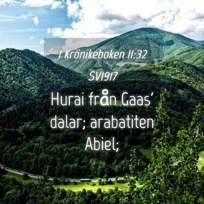 Picture 04 - 1 Krönikeboken 11:32 SV1917 - Hurai från Gaas' dalar; arabatiten - Bible Verse Picture